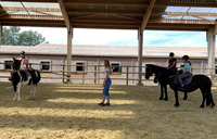 cours poney