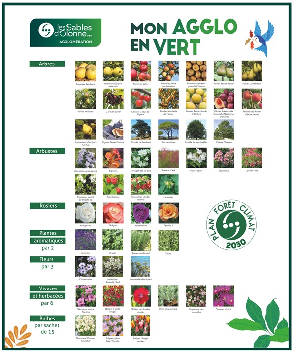 LISTE-VEGETAUX-POUR-SITE