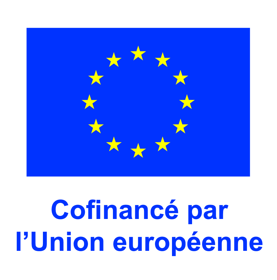 Logo UE