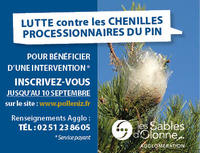 Infographie Chenilles sept 2019