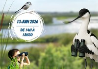 PORTES-OUVERTES-OBSERVATOIRE-D-OISEAUX-ILE-D-OLONNE