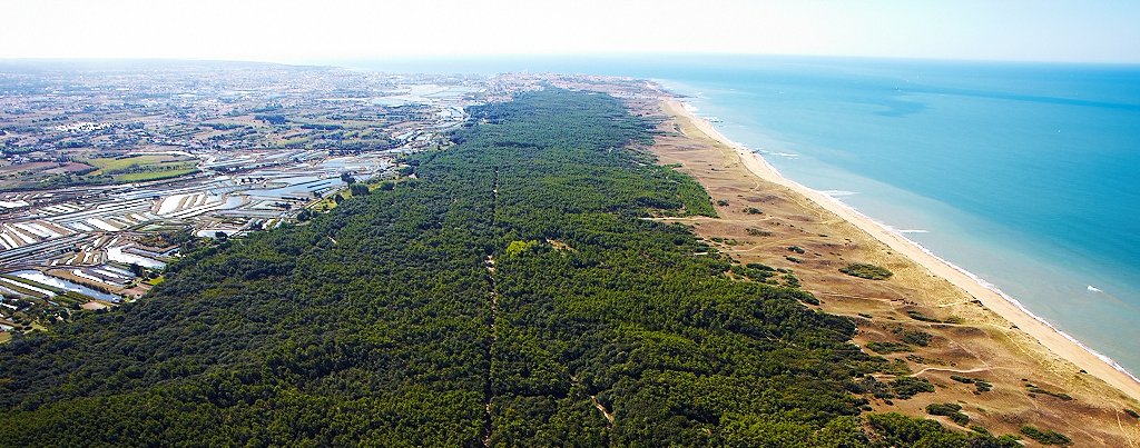 Vue aérienne Forêt Olonne